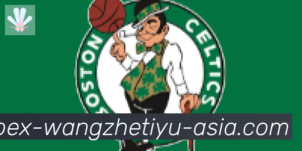 王者体育直播合作伙伴